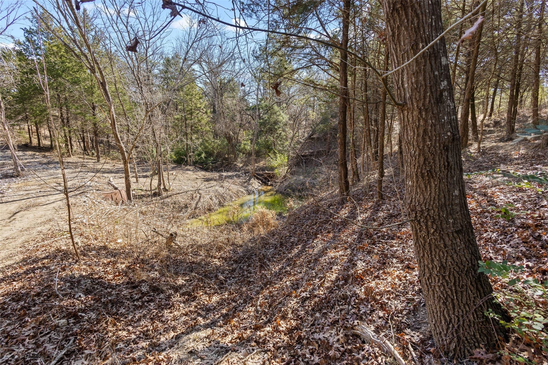12.15 acres in Grayson County - photo 24