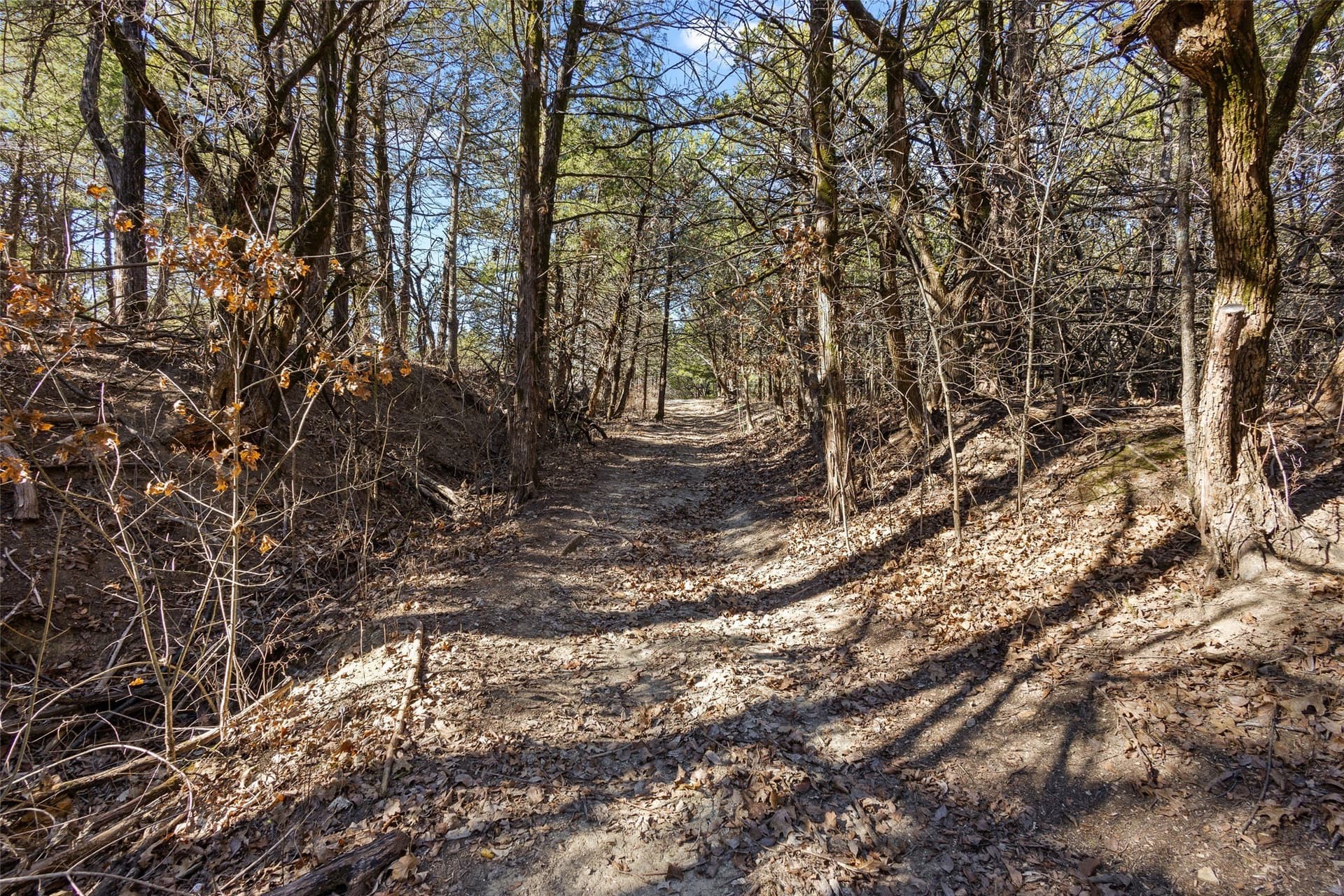 12.15 acres in Grayson County - photo 21