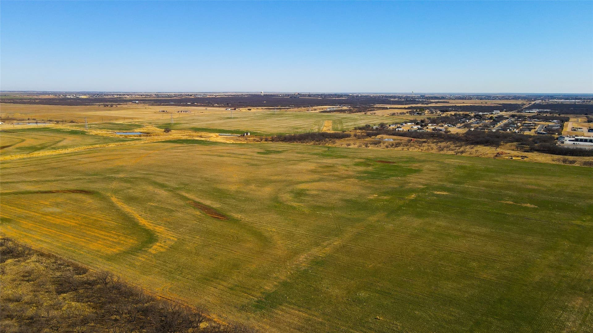 221 acres in Wichita County - photo 8