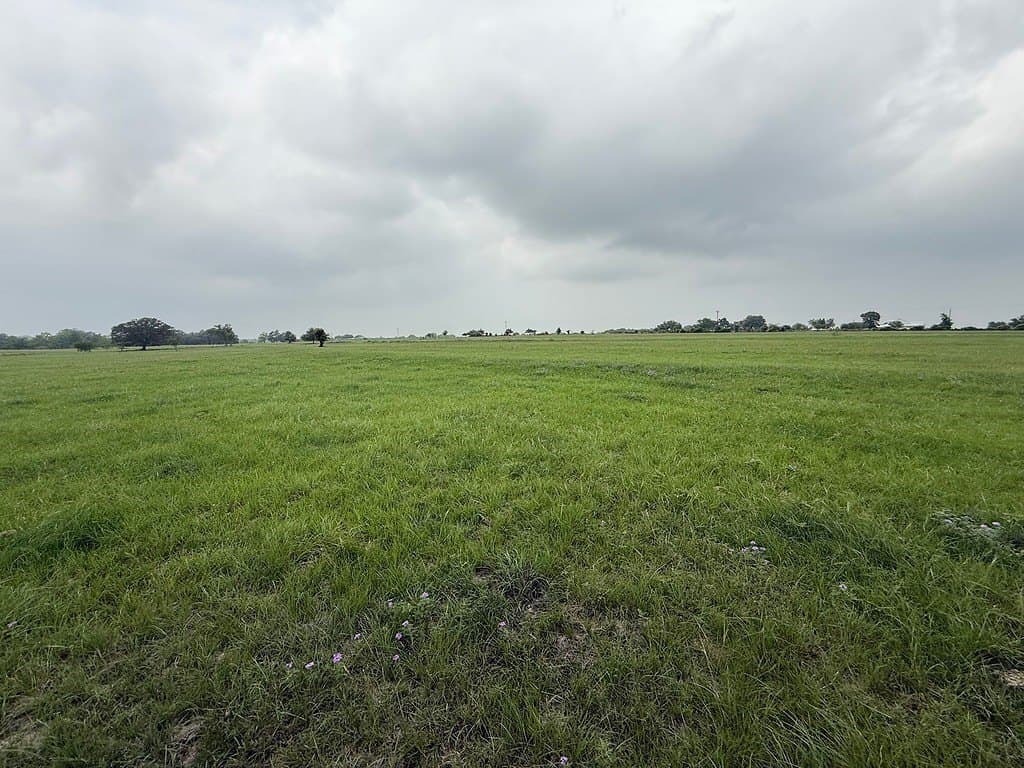11.5 acres in Lavaca County gallery image 4