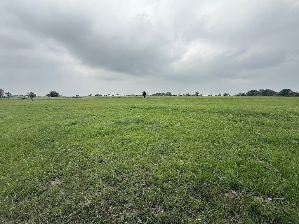 11.5 acres in Lavaca County gallery image 3