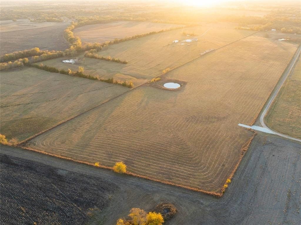 3 acres in Lamar County gallery image 2
