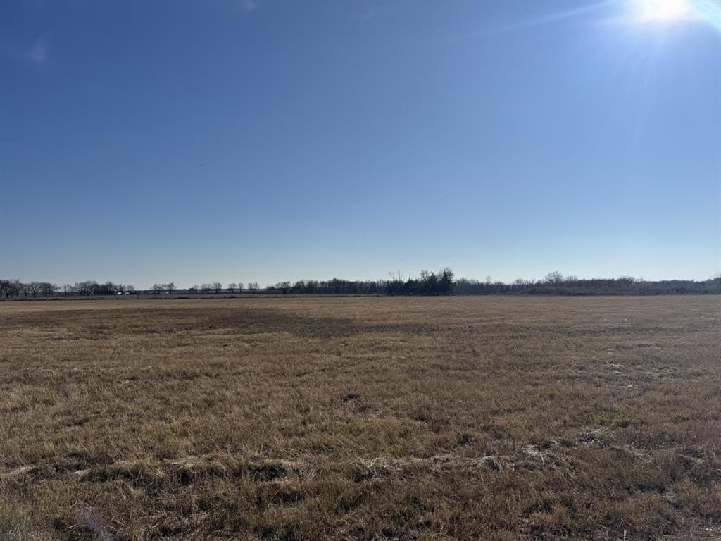3 acres in Lamar County gallery image 4