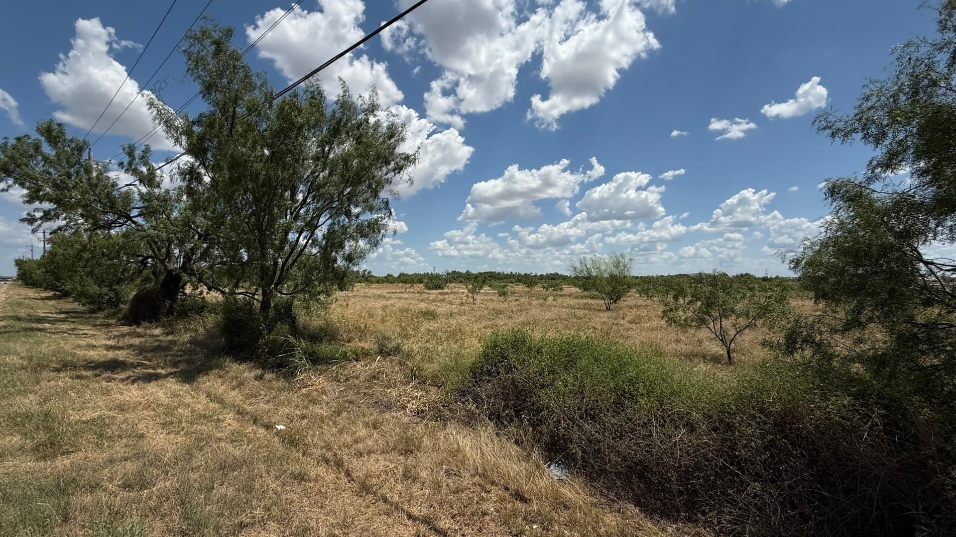 19.82 acres in Taylor County - photo 7