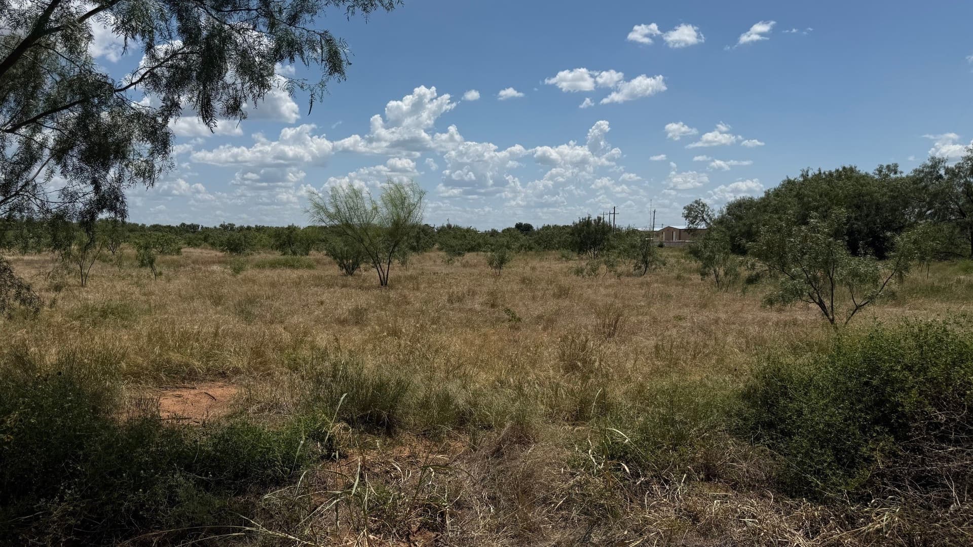 19.82 acres in Taylor County - photo 6