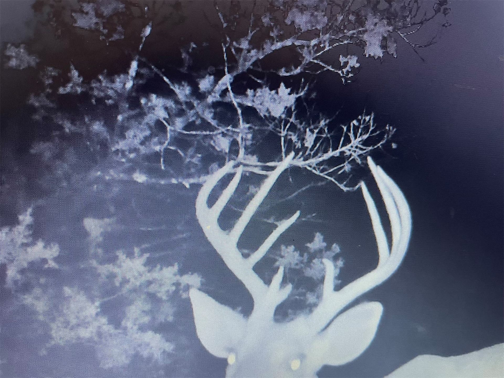 14.34 acres in Palo Pinto County gallery image 4