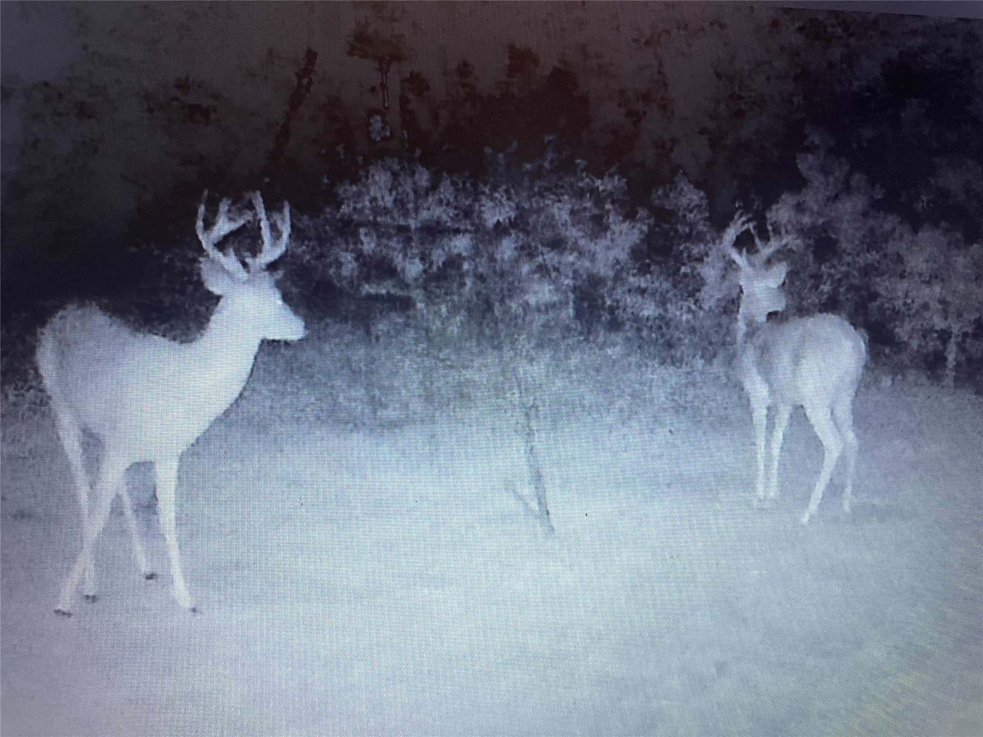 14.34 acres in Palo Pinto County gallery image 3
