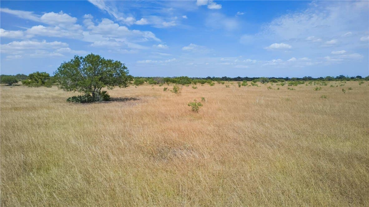 185 acres in Jim Wells County - photo 30