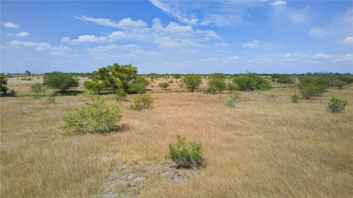 185 acres in Jim Wells County - photo 31