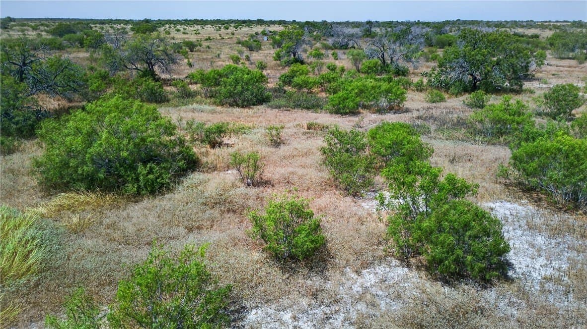 185 acres in Jim Wells County - photo 26
