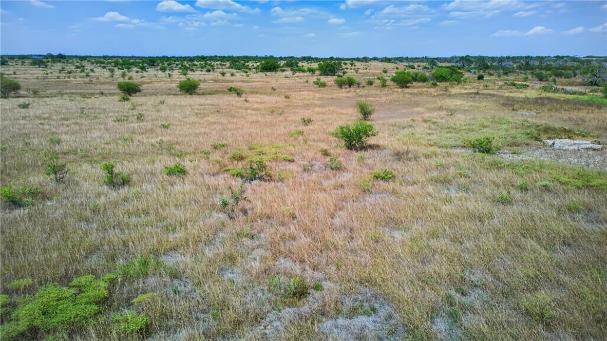185 acres in Jim Wells County - photo 27