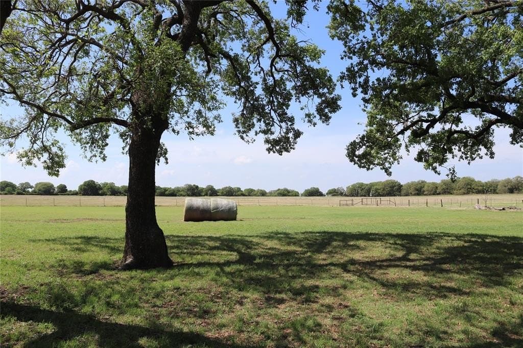 124.79 acres in Clay County featured view