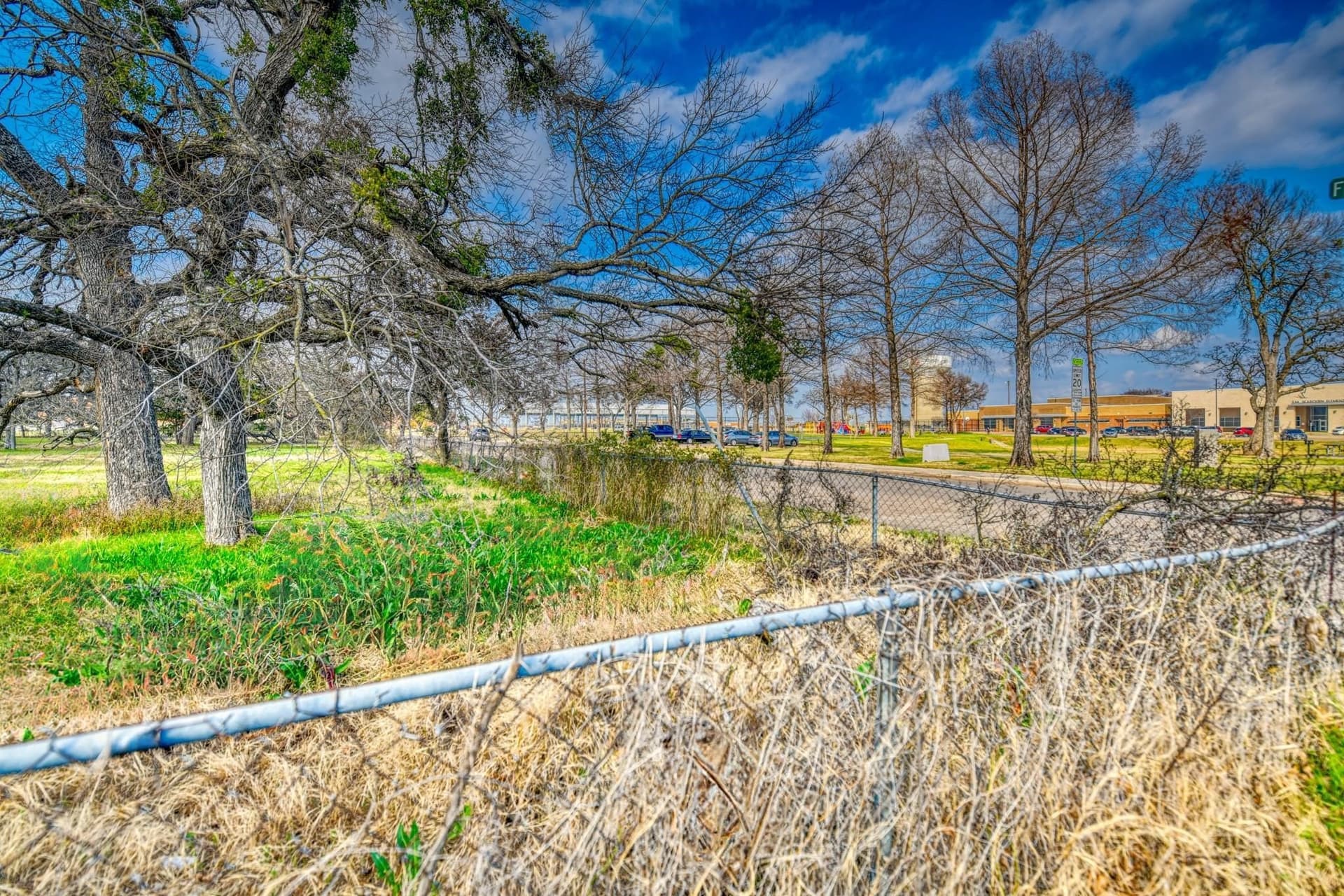 0.98 acres in Dallas County gallery image 4