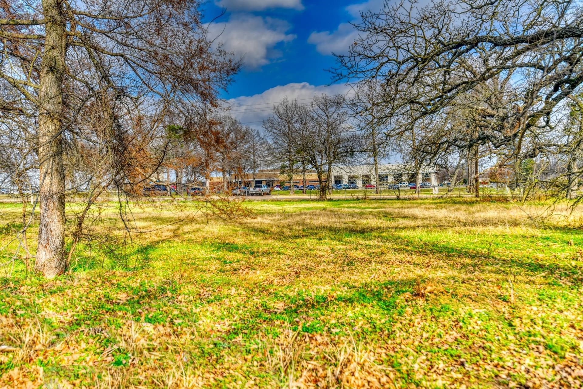 0.98 acres in Dallas County - photo 6