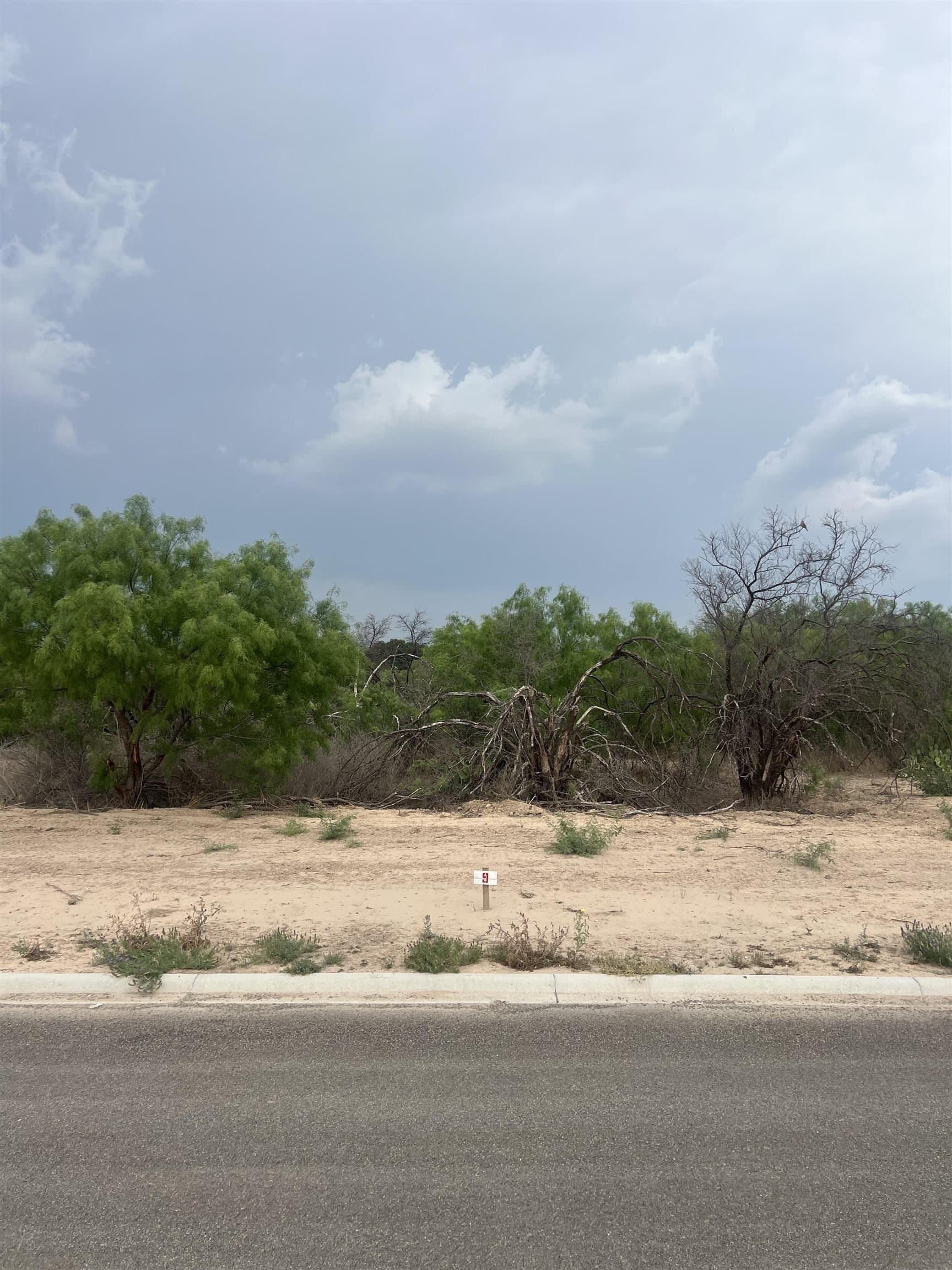 0.45 acres in Val Verde County gallery image 2