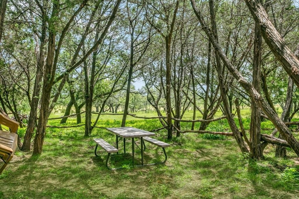 10.02 acres in Gillespie County gallery image 4