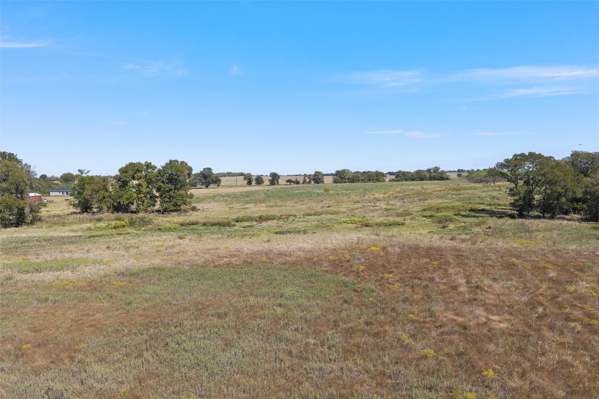 14 acres in Navarro County - photo 9