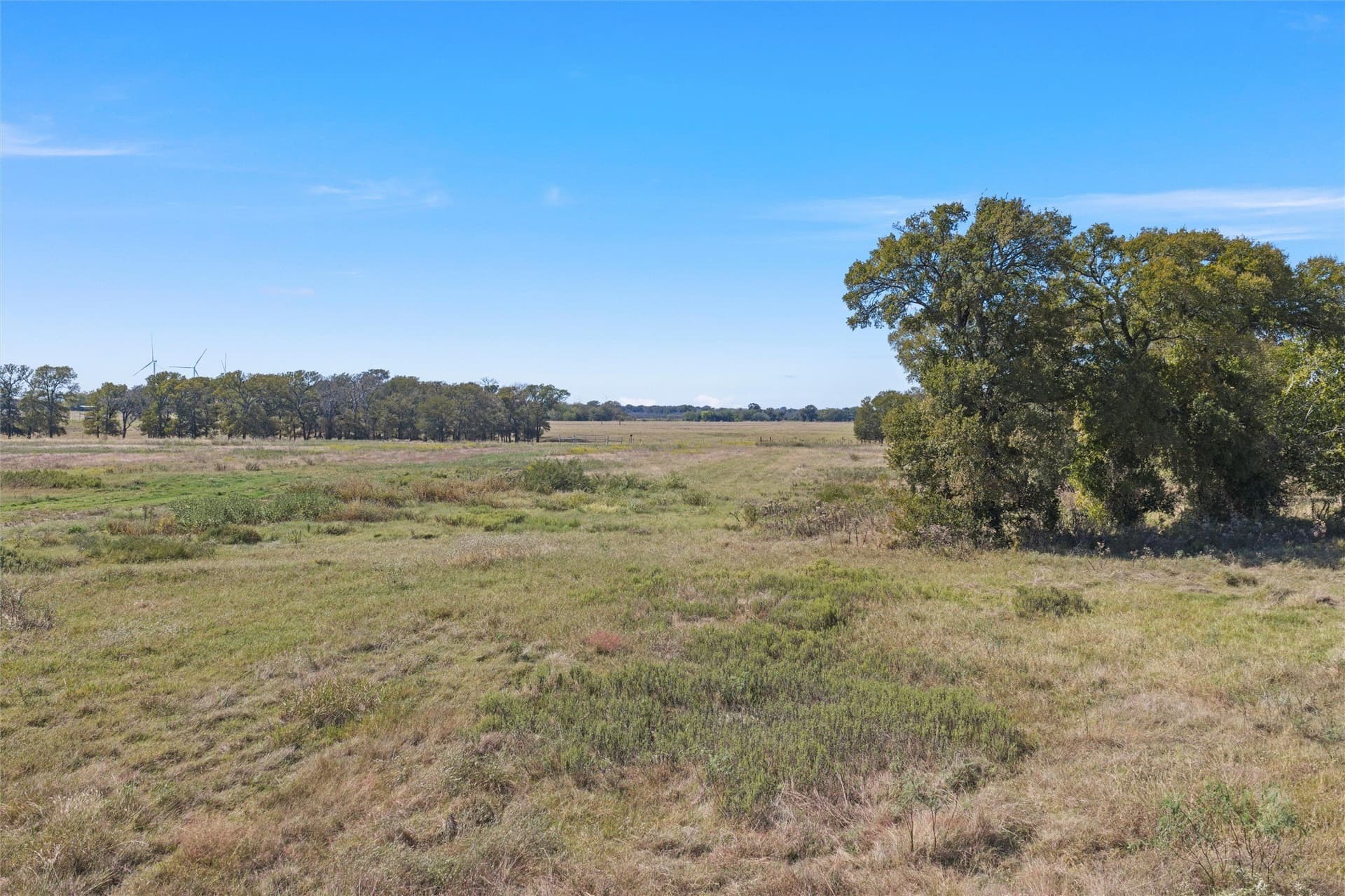 14 acres in Navarro County - photo 14