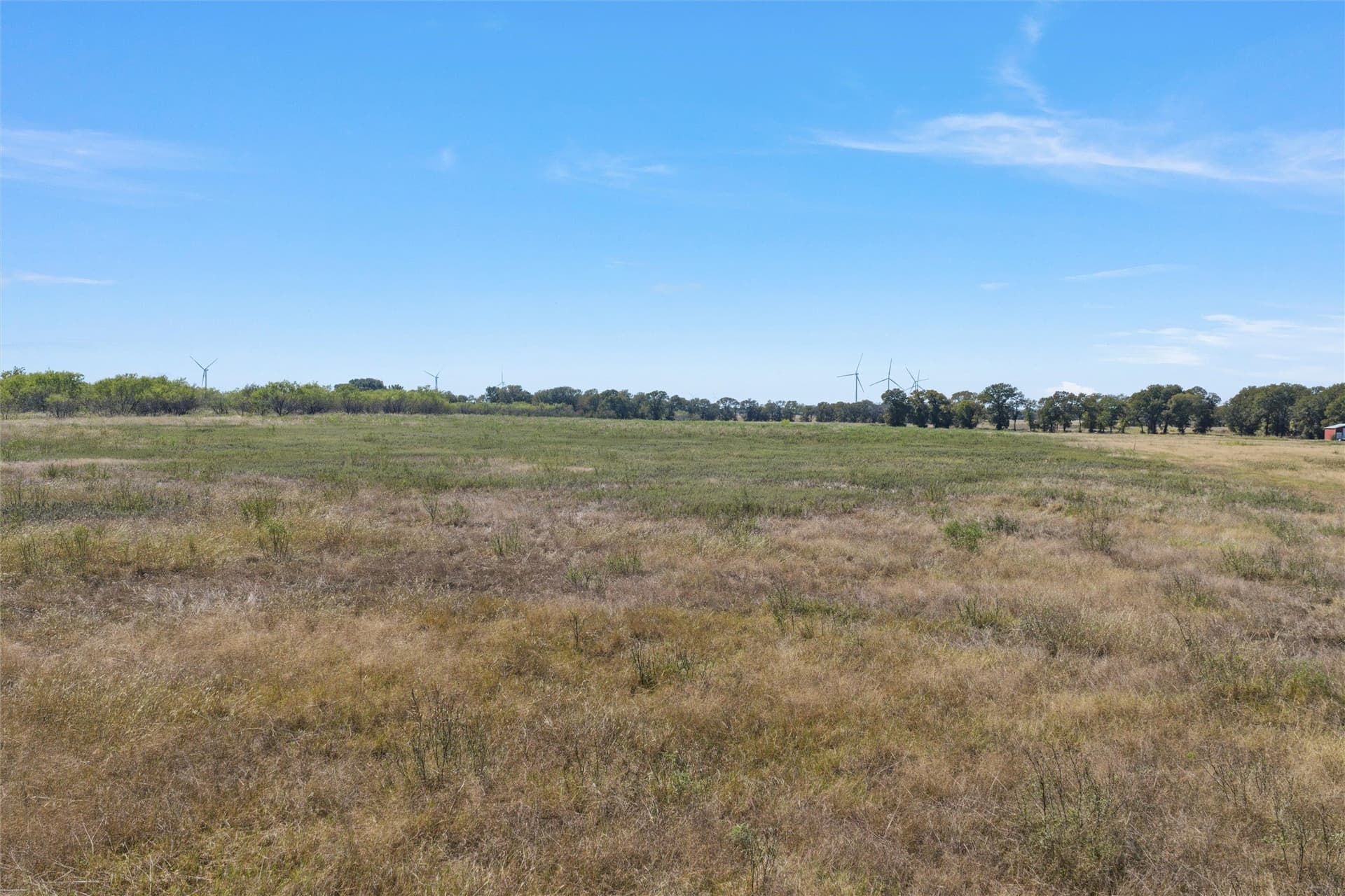 14 acres in Navarro County - photo 11