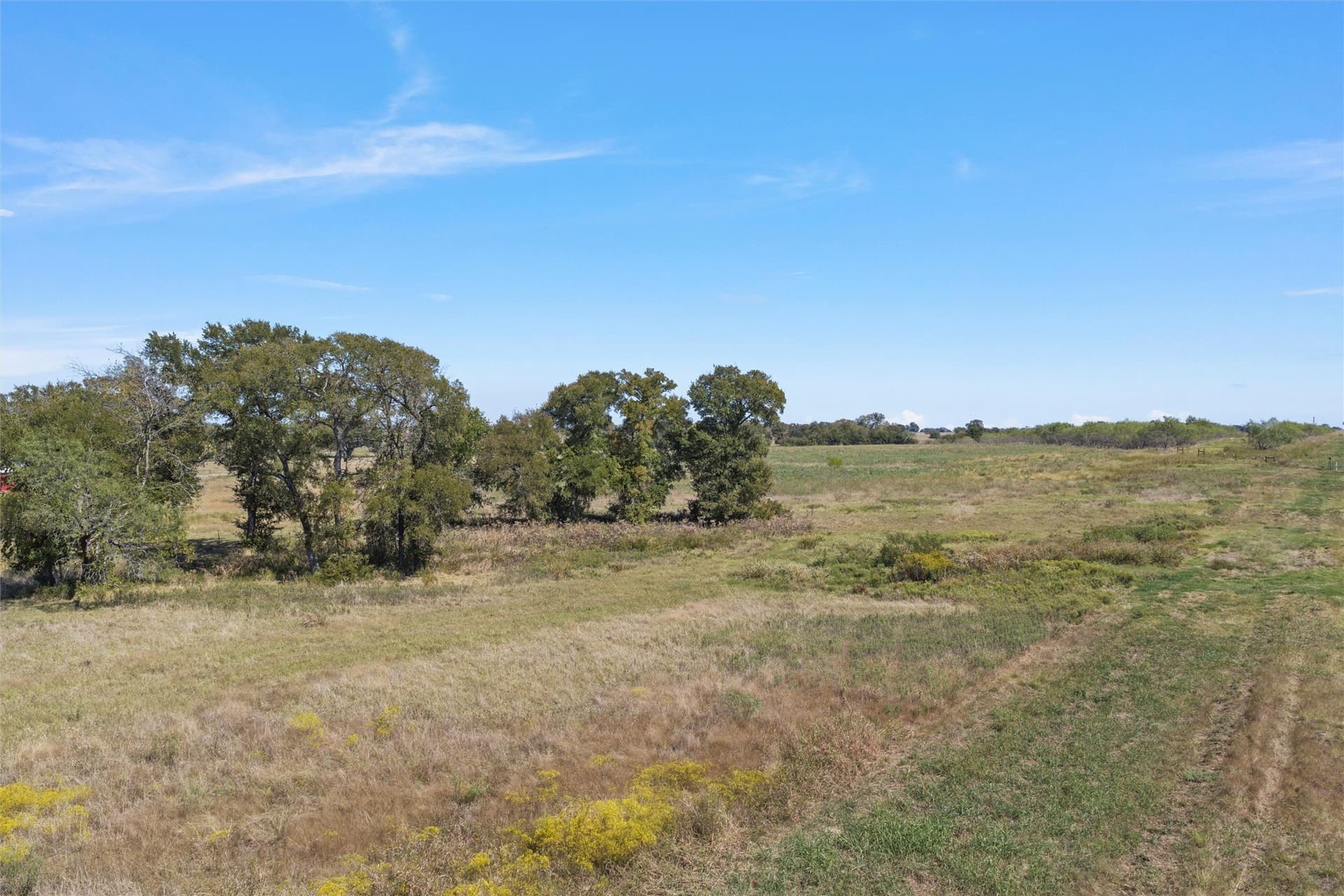 14 acres in Navarro County - photo 16