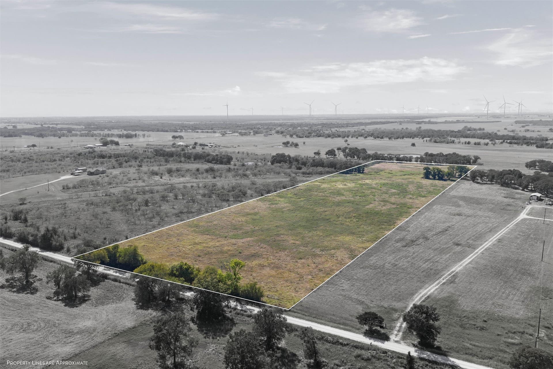 14 acres in Navarro County gallery image 2