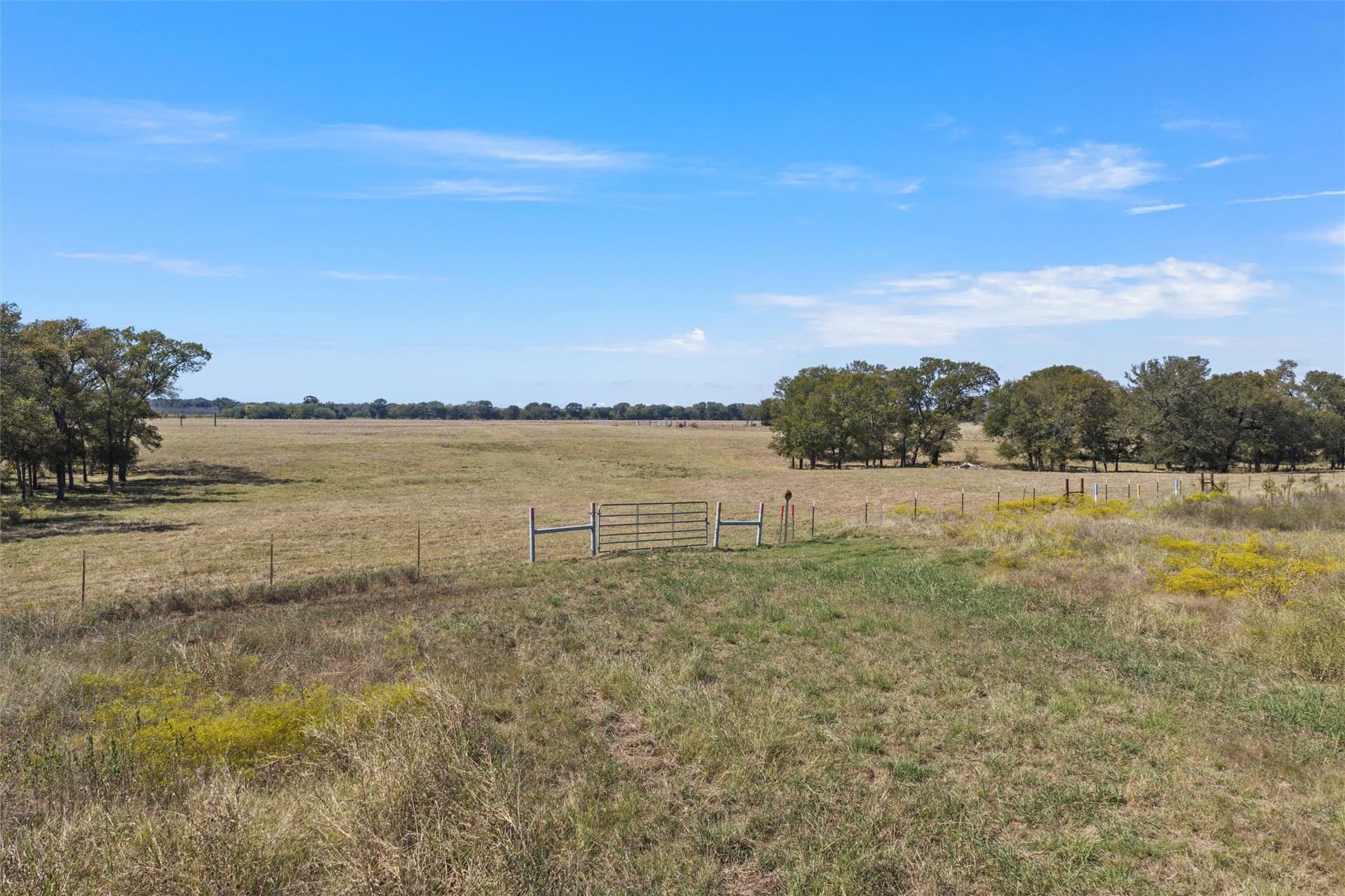 14 acres in Navarro County - photo 15