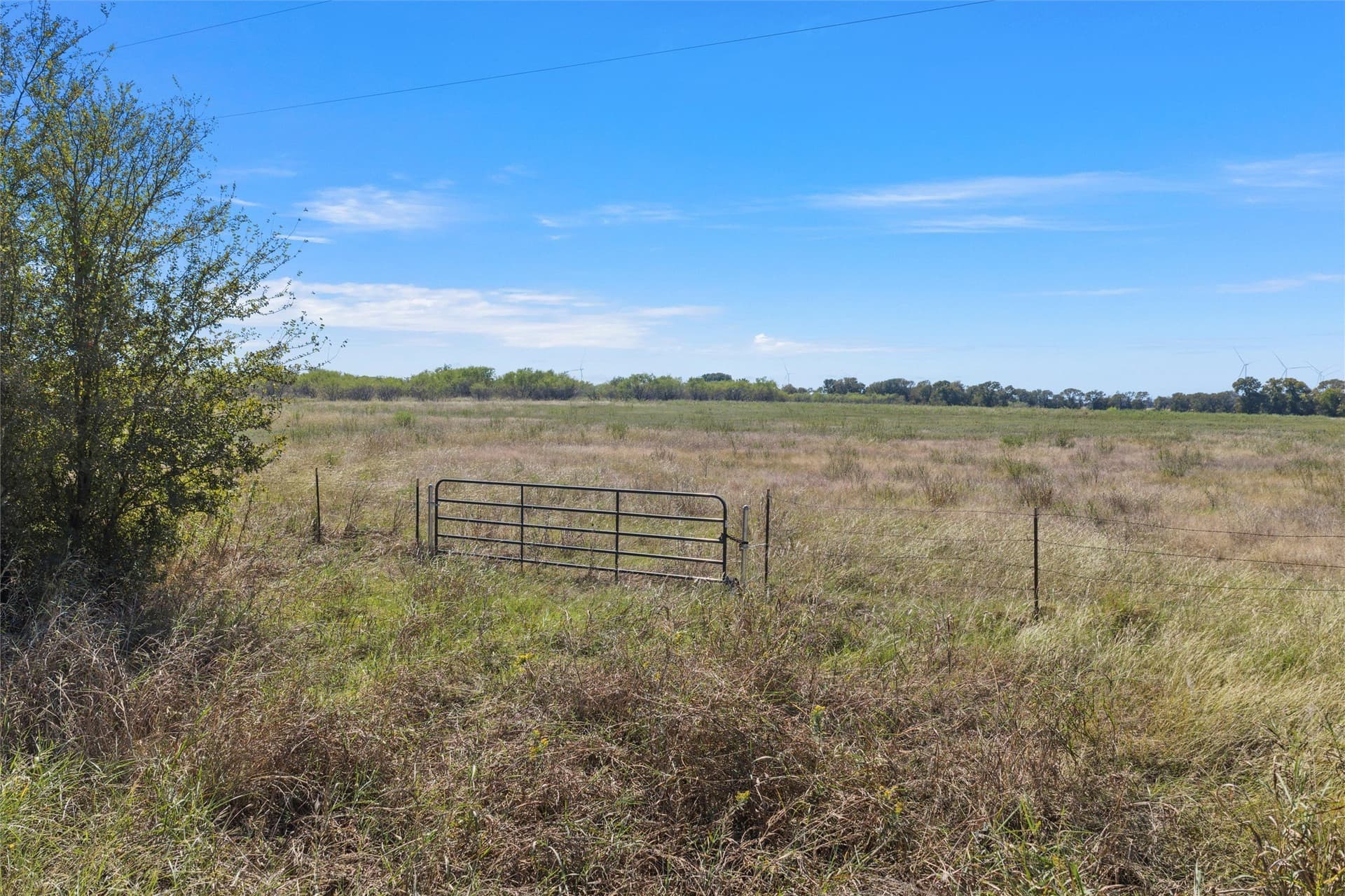 14 acres in Navarro County - photo 12