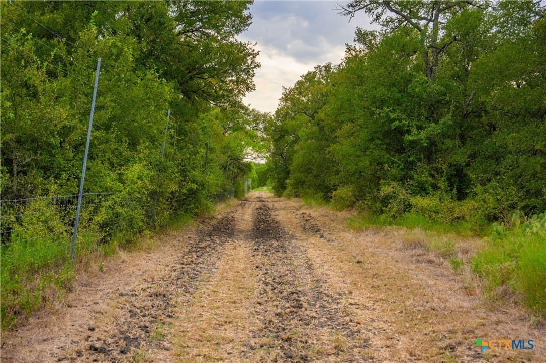 110 acres in Milam County - photo 27