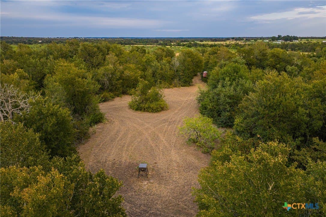 110 acres in Milam County - photo 24