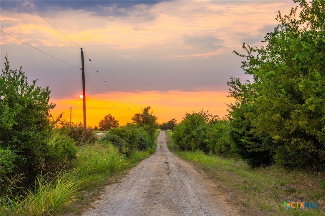 110 acres in Milam County - photo 18
