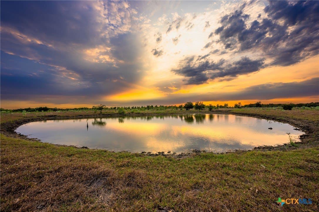110 acres in Milam County - photo 4