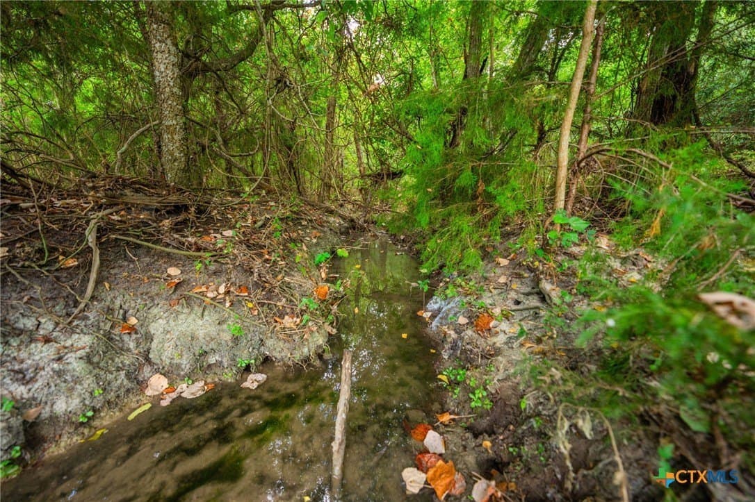 110 acres in Milam County - photo 7