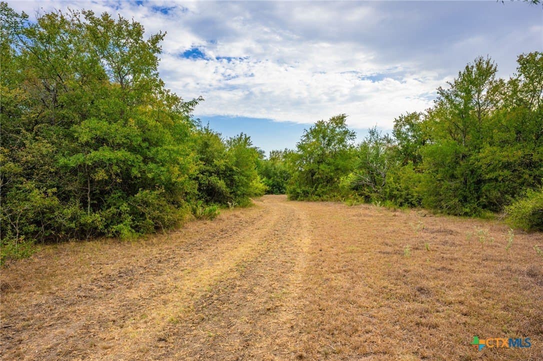 110 acres in Milam County - photo 28