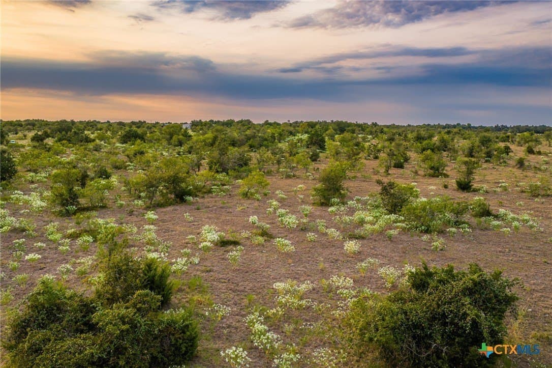 110 acres in Milam County - photo 20
