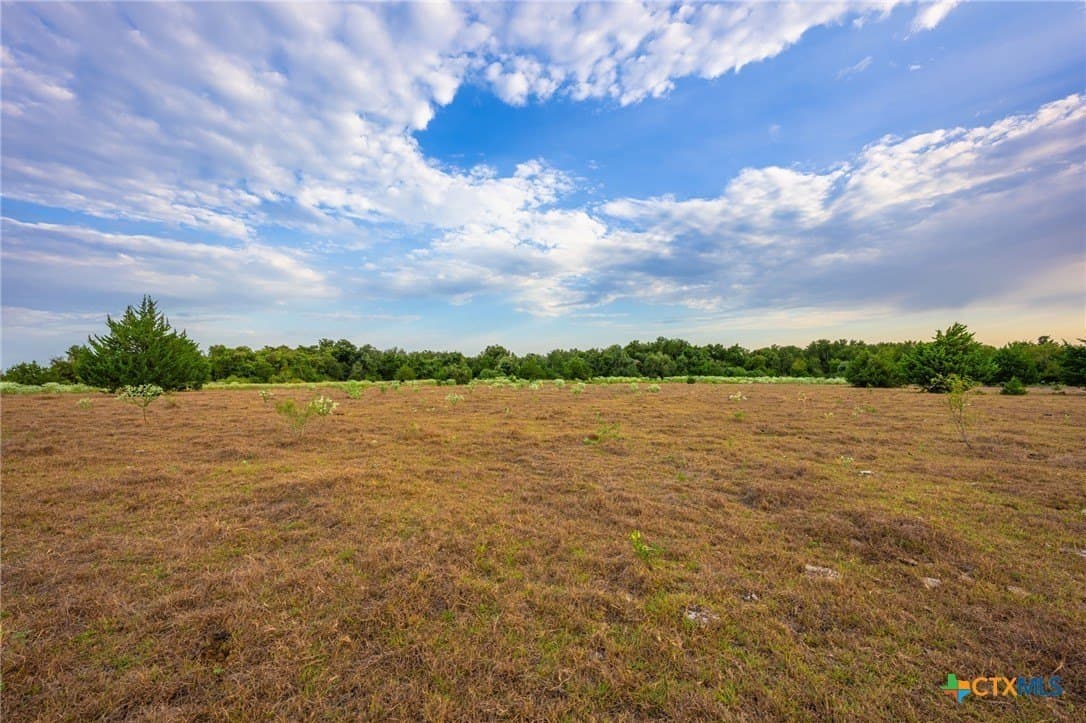 110 acres in Milam County - photo 31