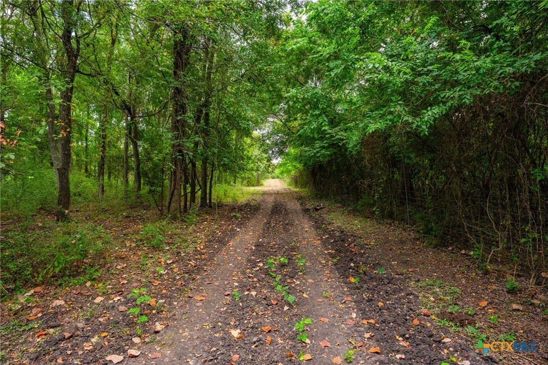 110 acres in Milam County - photo 9