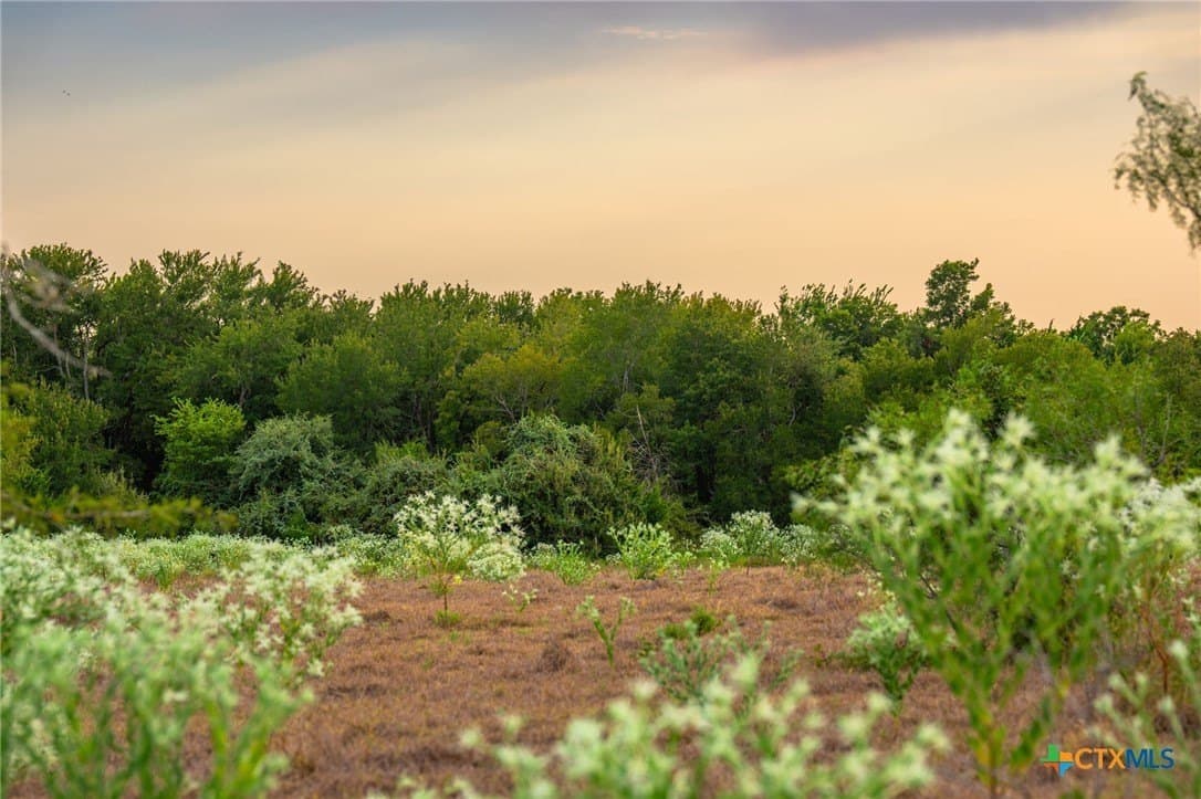 110 acres in Milam County - photo 25