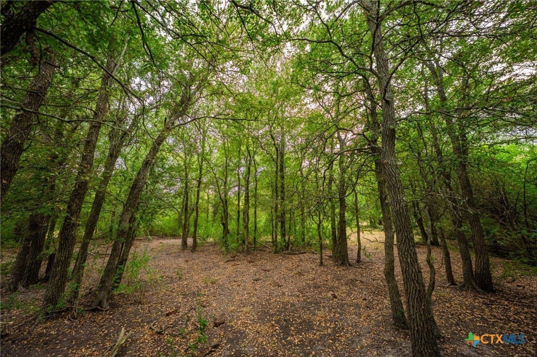 110 acres in Milam County - photo 14