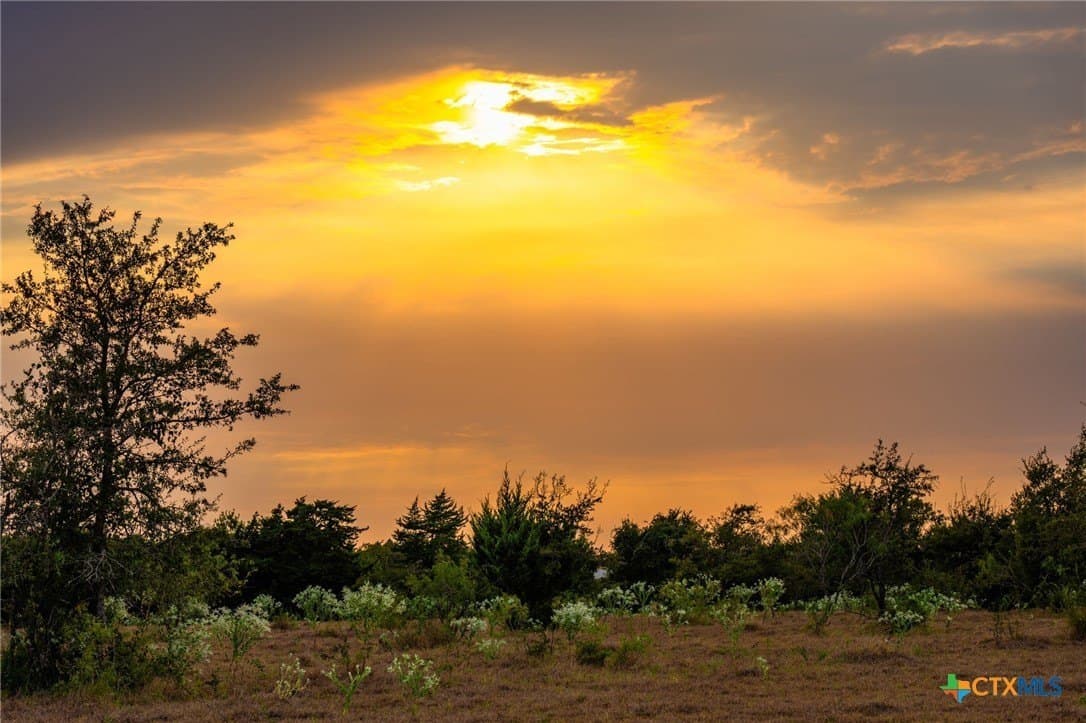 110 acres in Milam County - photo 8