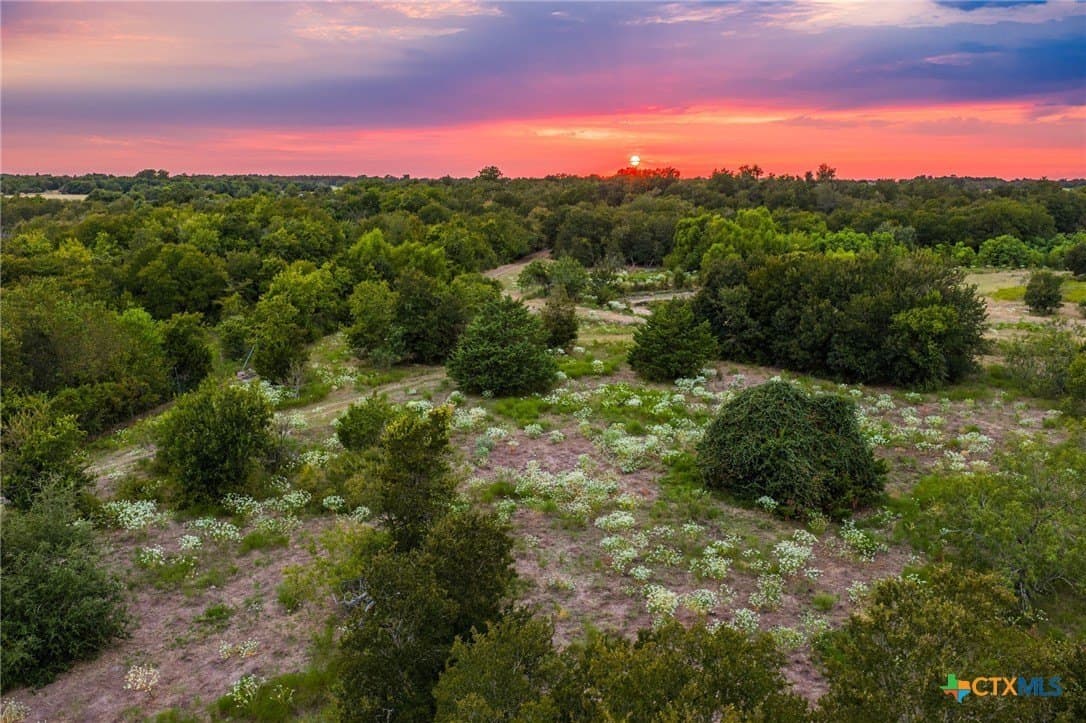 110 acres in Milam County - photo 13
