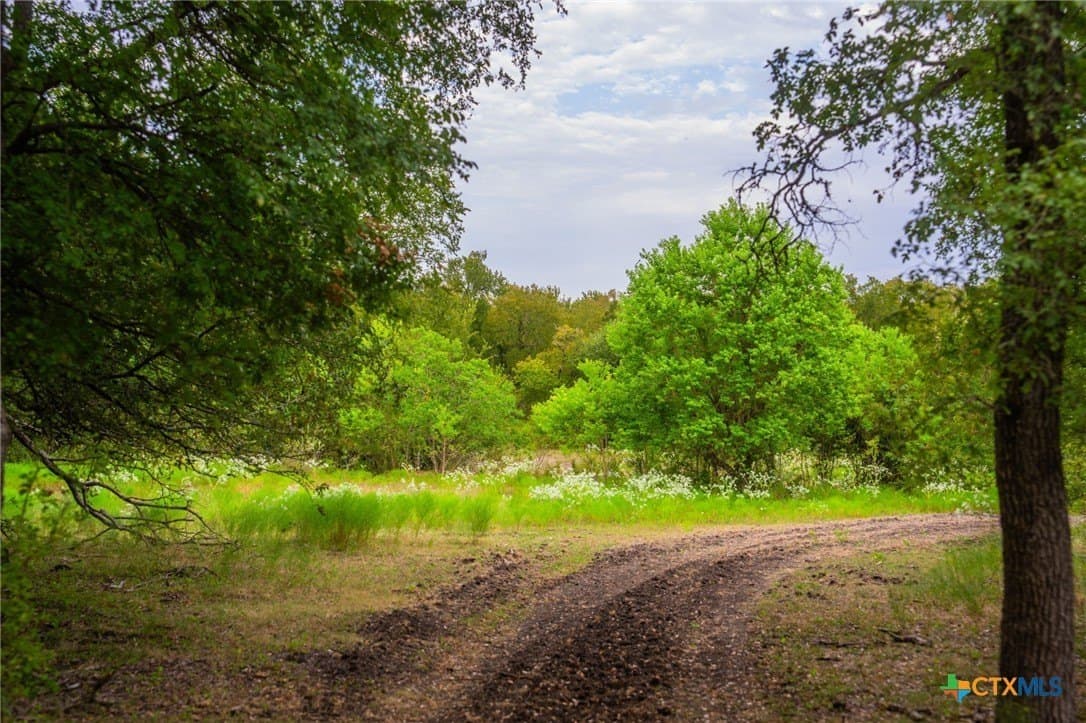 110 acres in Milam County - photo 15