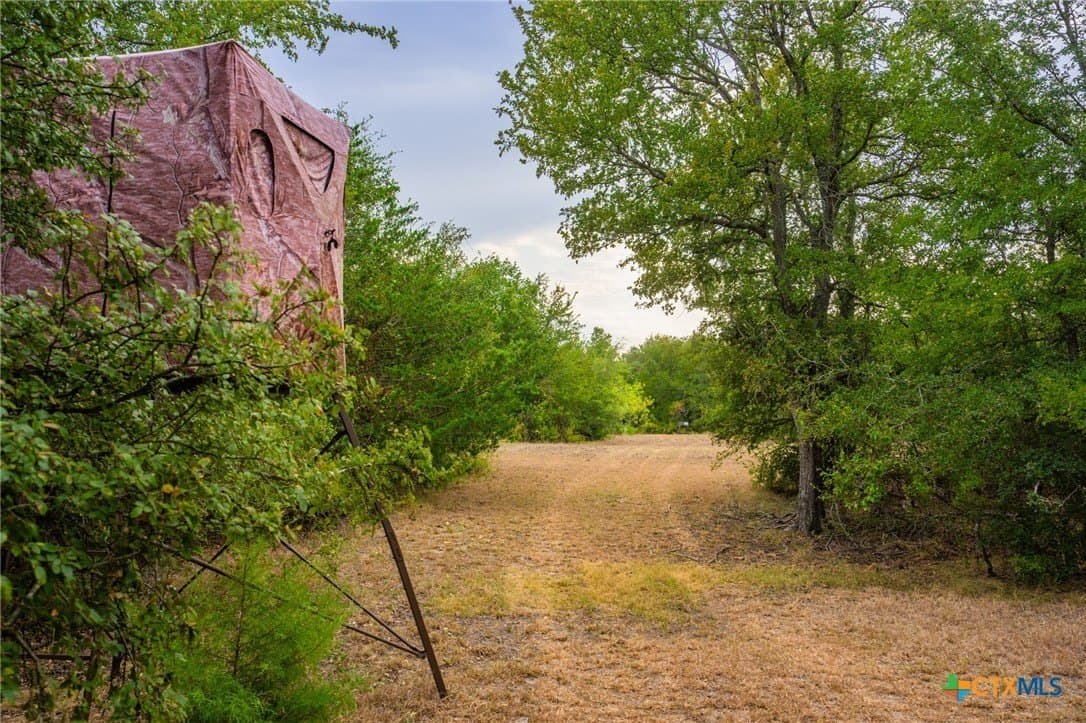 110 acres in Milam County - photo 3