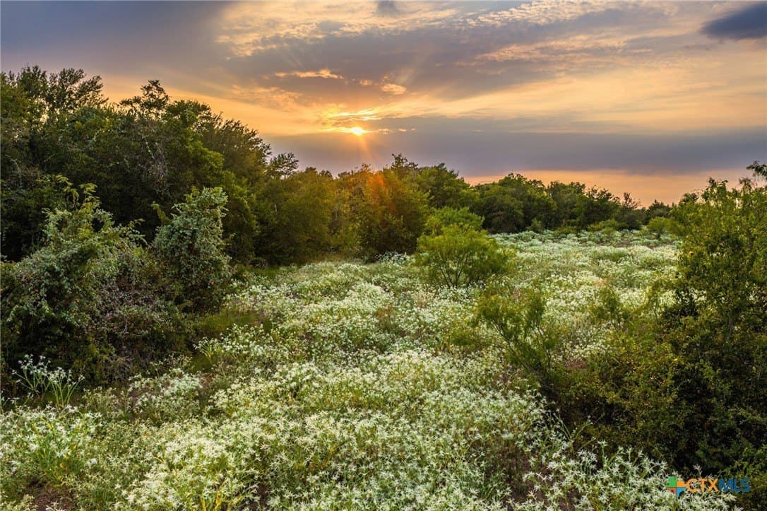 110 acres in Milam County - photo 17