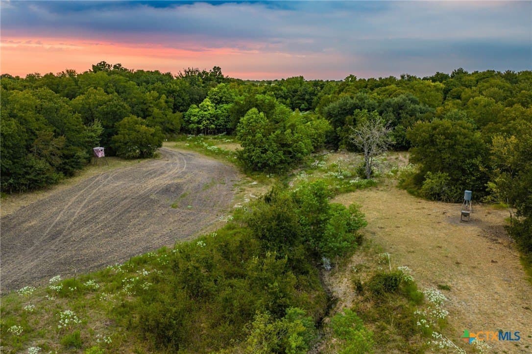 110 acres in Milam County - photo 5