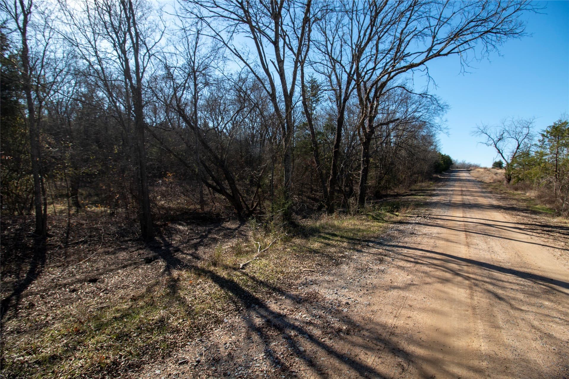 2.04 acres in Fannin County - photo 6