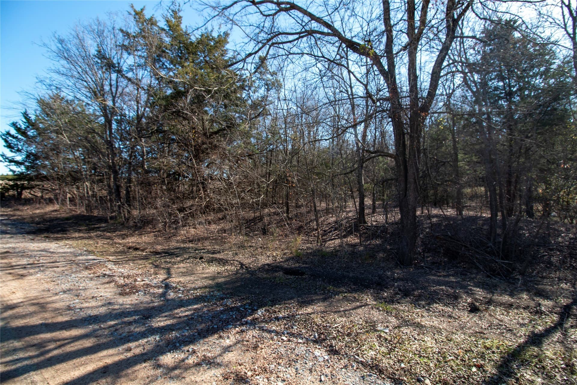 2.04 acres in Fannin County - photo 9