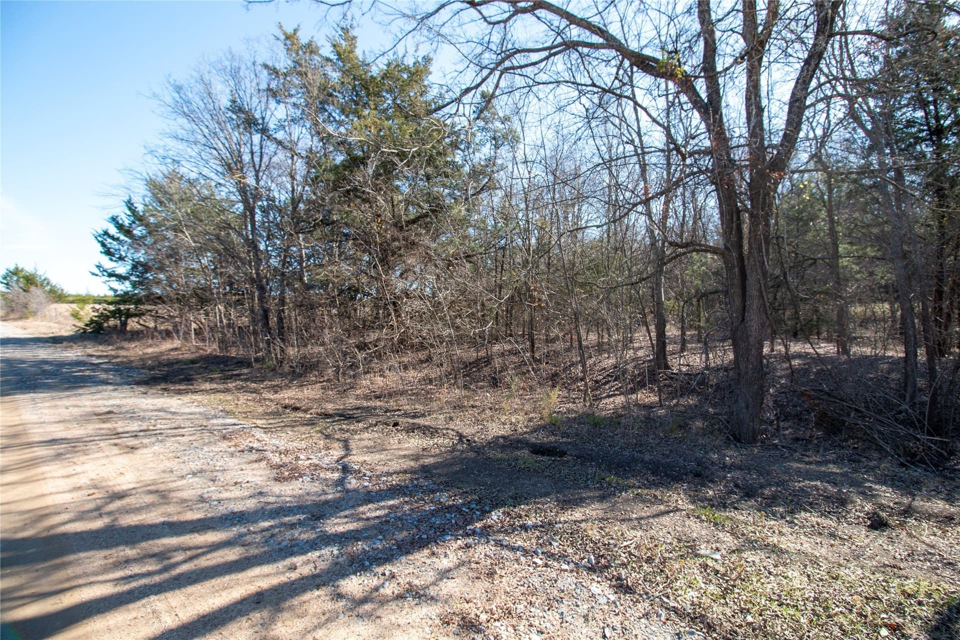 2.04 acres in Fannin County - photo 7