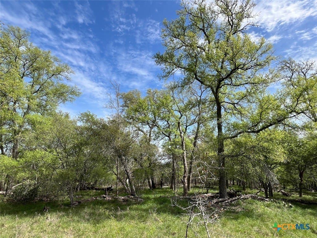 165.01 acres in Caldwell County gallery image 4