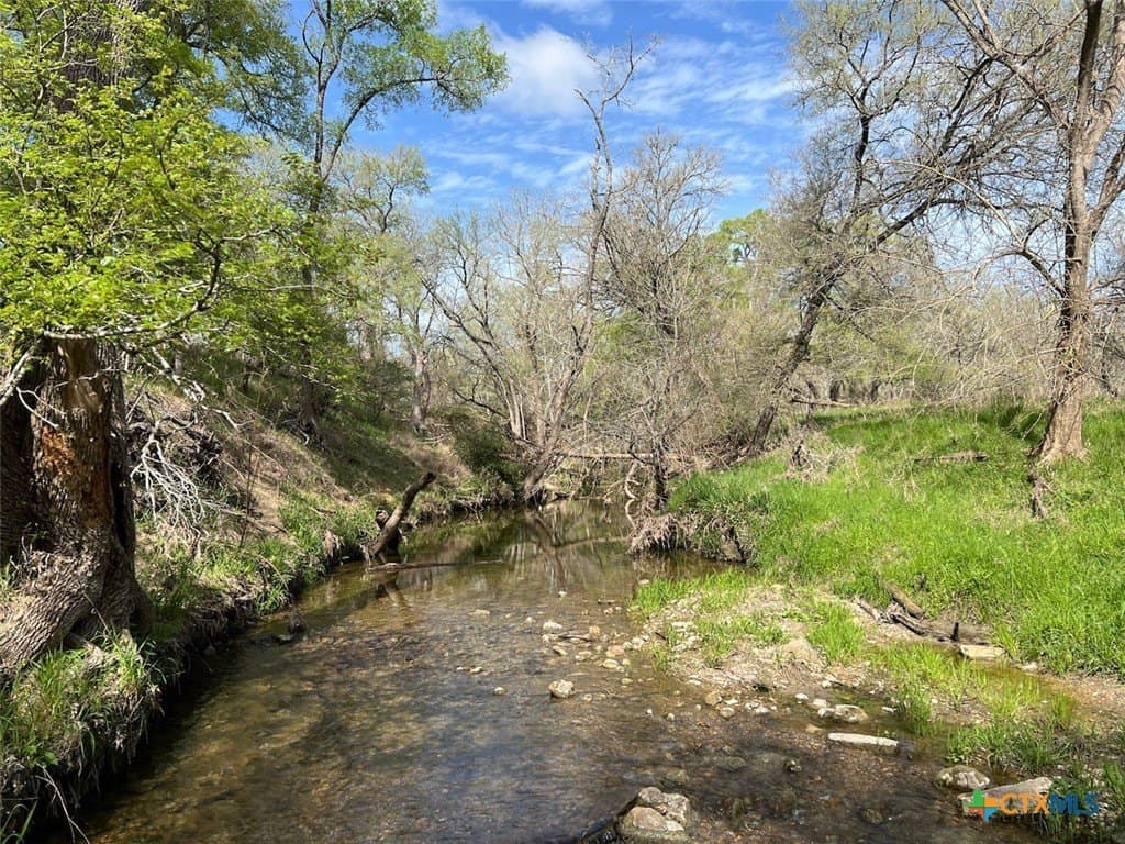 165.01 acres in Caldwell County gallery image 2