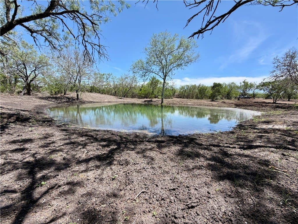 47.6 acres in Live Oak County featured view